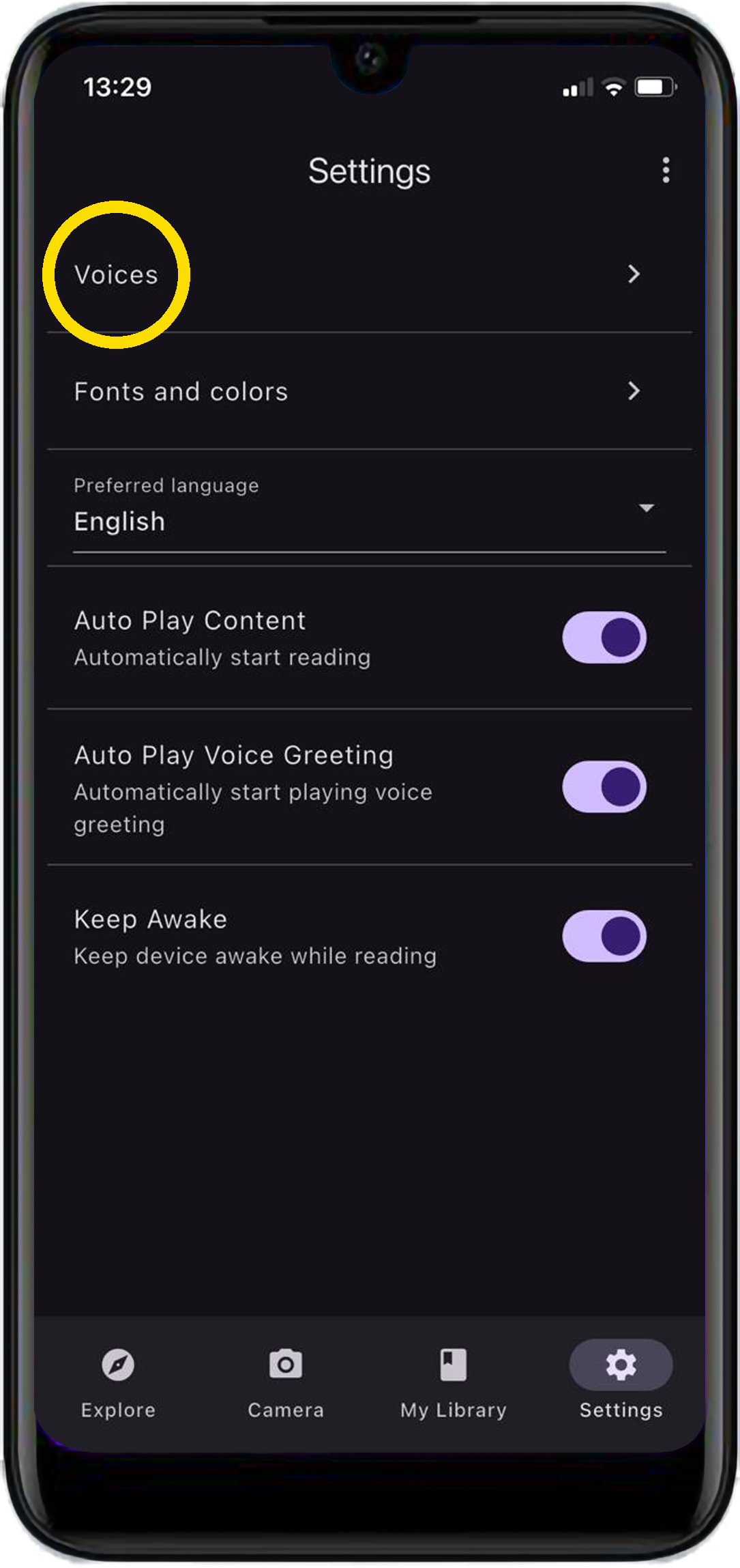 Umsizi Reader Settings screen with Voices and Preferred Language options.